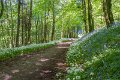 Springtime in Monaghan 2013 (25)